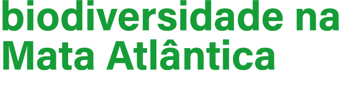 biodiversidade na Mata Atl ntica 