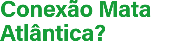Conex o Mata Atl ntica?