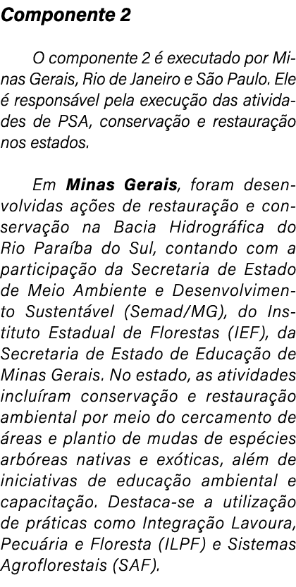 Componente 2 O componente 2  executado por Minas Gerais, Rio de Janeiro e S o Paulo. Ele   respons vel pela execu  o...