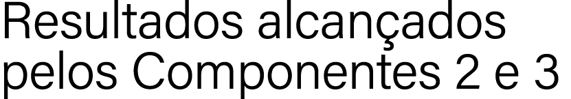 Resultados alcan ados pelos Componentes 2 e 3