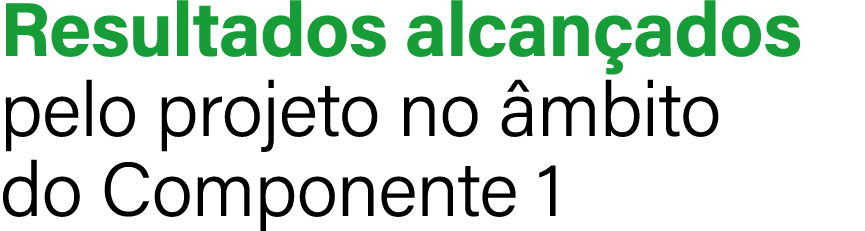 Resultados alcan ados pelo projeto no mbito do Componente 1