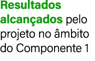 Resultados alcan ados pelo projeto no mbito do Componente 1