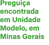 Pregui a encontrada em Unidade Modelo, em Minas Gerais