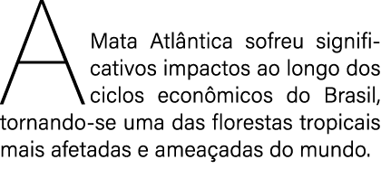 A Mata Atl ntica sofreu significativos impactos ao longo dos ciclos econ micos do Brasil, tornando se uma das florest...