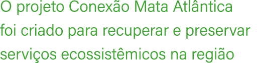 O projeto Conex o Mata Atl ntica foi criado para recuperar e preservar servi os ecossist micos na regi o