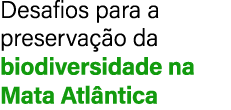 Desafios para a preserva o da biodiversidade na Mata Atl ntica