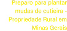 Preparo para plantar mudas de cutieira Propriedade Rural em Minas Gerais 