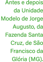 Antes e depois da Unidade Modelo de Jorge Augusto, da Fazenda Santa Cruz, de S o Francisco da Gl ria (MG).
