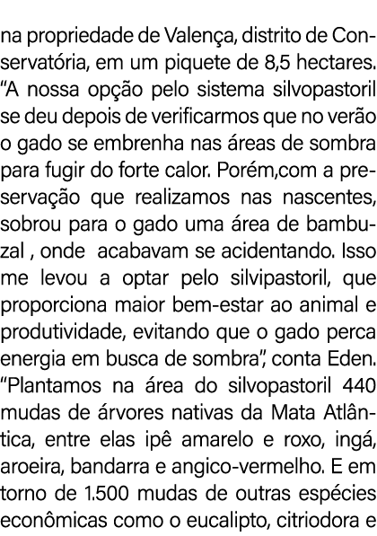 na propriedade de Valen a, distrito de Conservat ria, em um piquete de 8,5 hectares. “A nossa op o pelo sistema silv...