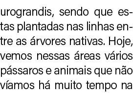 urograndis, sendo que estas plantadas nas linhas entre as rvores nativas. Hoje, vemos nessas  reas v rios p ssaros e...